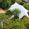 Stertent Startwin